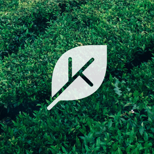 Logo design contest entry by dan.silva