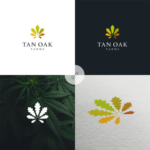 Design a logo for a family run legal cannabis farm! Design réalisé par kerman