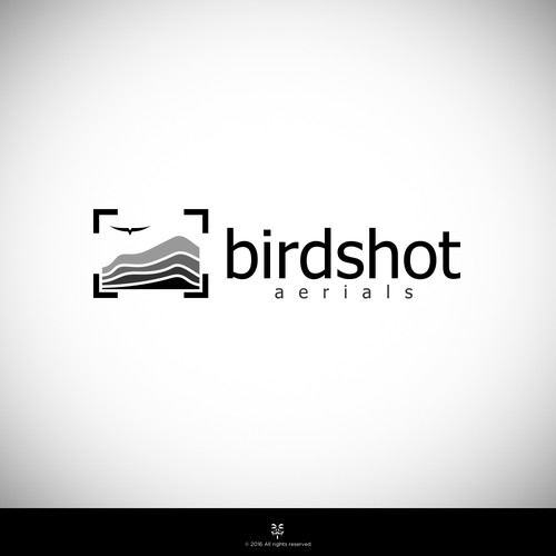 Create a high-flying view for Birdshot Aerials Design by Mastah Killah 187