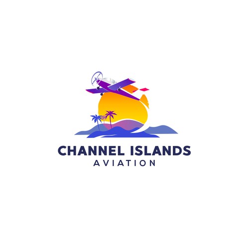 Classic Youthful Flight School catering to future pilots and luxury jet owners Design by Dmitri Cezaro