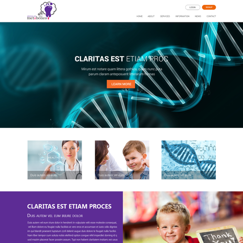 WordPress theme design contest entry by NS66