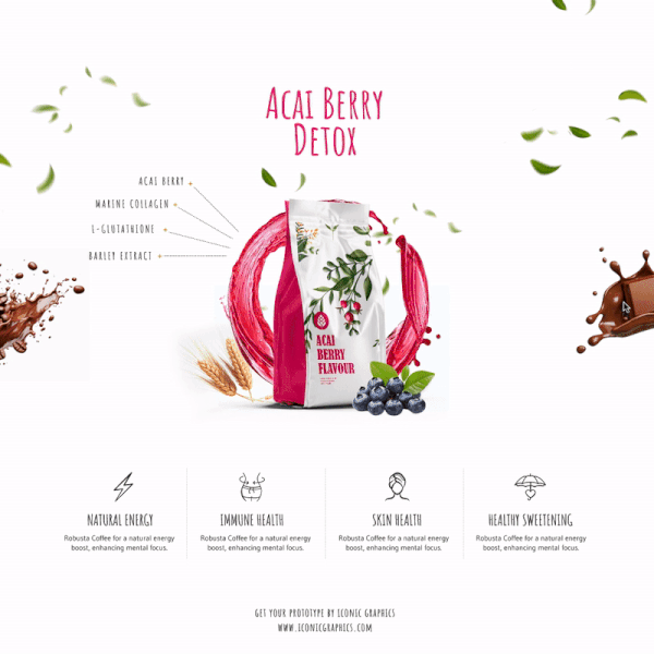 Landing Page Design & Protoype Presenation