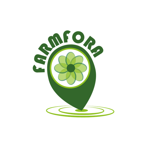 alimenti sani e locali