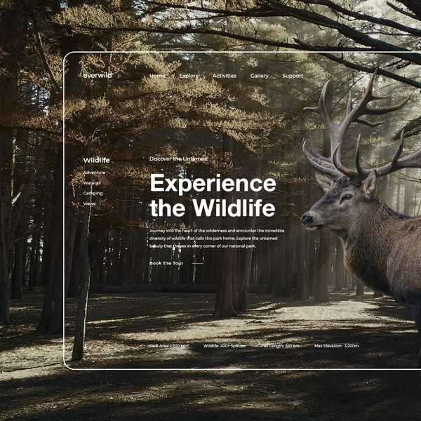 Design by ShaneMVP titled "National Park Website"