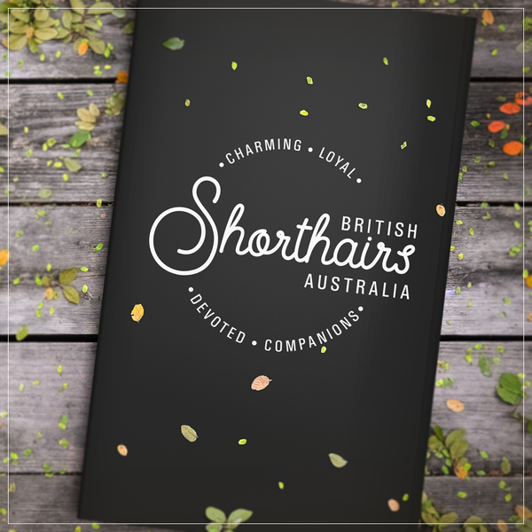 Design by Natasa Ivancevic titled "Logo design"