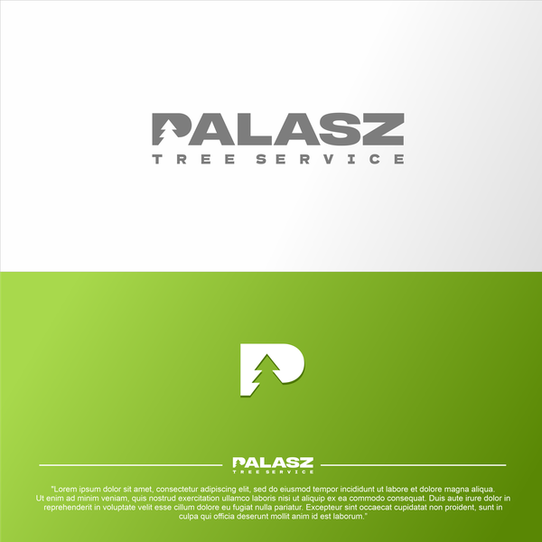 Palasz Tree Service Company