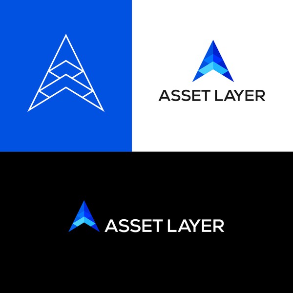 Software developing company