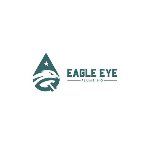 Eye catching and very marketable logo for plumbing company. The company name is Eagle Eye Plumbing Design by Ecksan