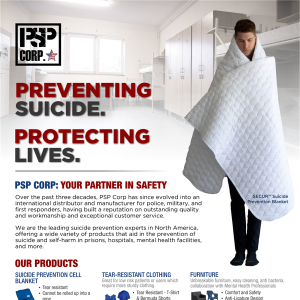 Poster and flyer for PSP