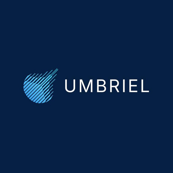 Logo for a AI Cyber Security Company