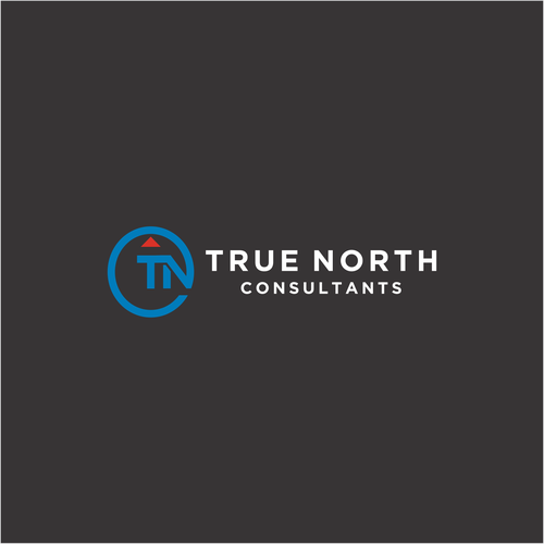 True North Consultants Design by karahayon