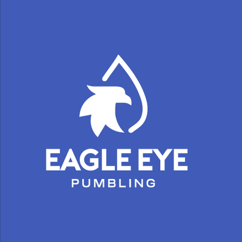 Eye catching and very marketable logo for plumbing company. The company name is Eagle Eye Plumbing Design by juedesigns