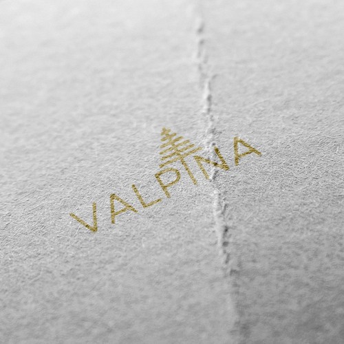 Logo design contest entry by Skeptical Studio