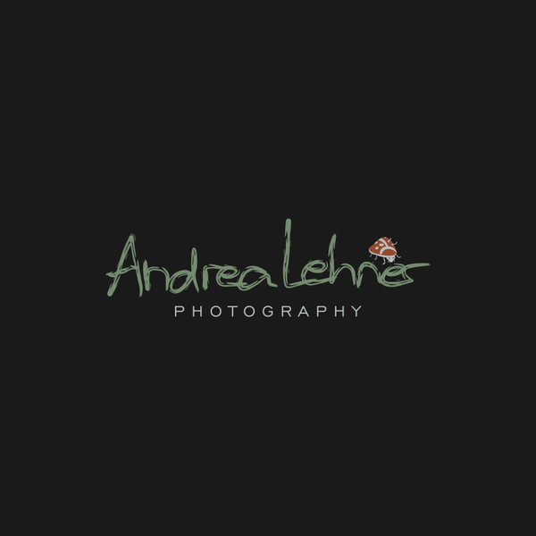 Design by PEMBURUU titled "Andrea Lehner Photography"