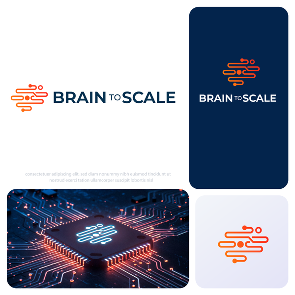 Brain to Scale