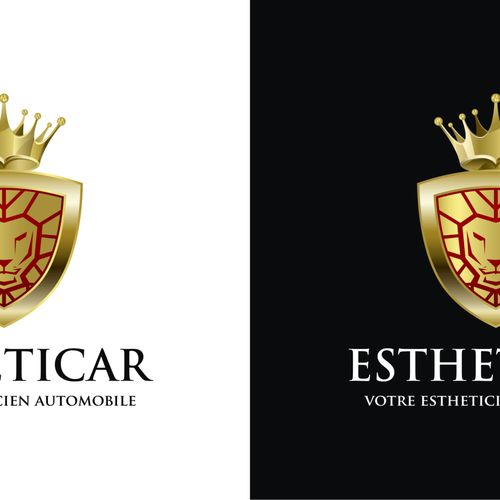 Créér un logo qui représente l'esthétique de la voiture. Design by Kaleya