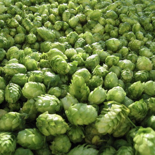SimCoeHops-Example3.jpg