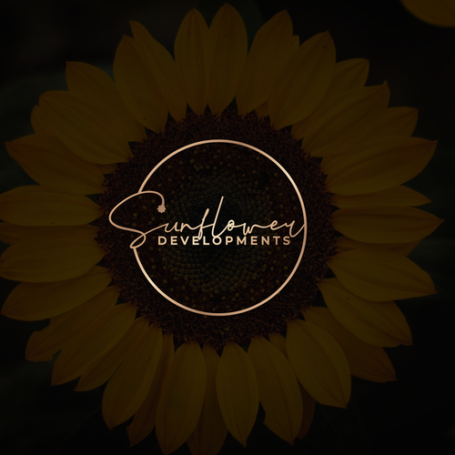 Looking for a logo for our new real estate development project! Design by Kate Visuals