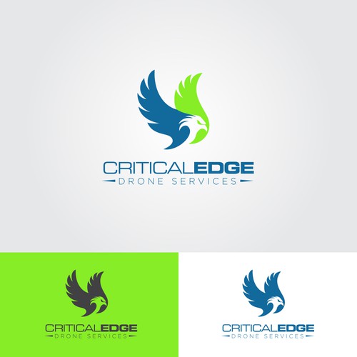 We need a logo design for new Drone inspection and survey company Design by hasnagraphics