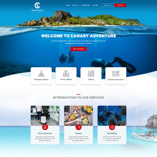 Web page design contest entry by Realysys
