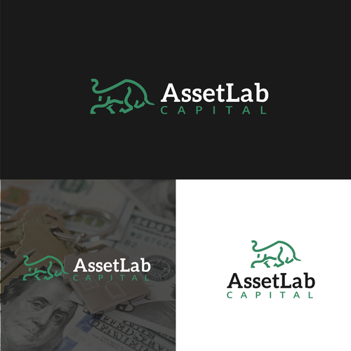 Real Estate and Financial Services Firm Logo and Brand Guide Design by Nocturlicious