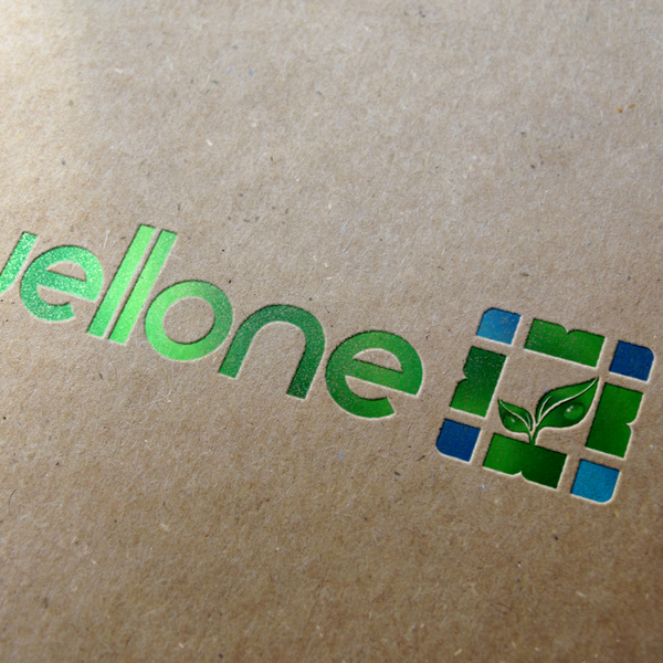 Design by MD.GUV titled "Create the identity of the future of discounted health care: WellOne"