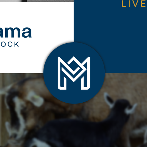 MAZAMA Design by zoroid