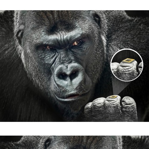 Banner ad contest entry by karundesigns