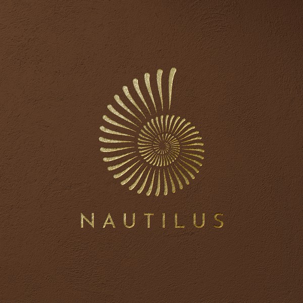 Illustration of a nautilus