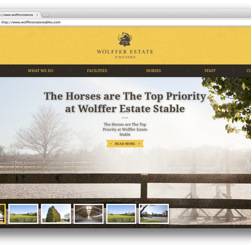 Web page design contest entry by André Revin