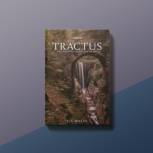 Book cover contest entry by WhoIsPixxie