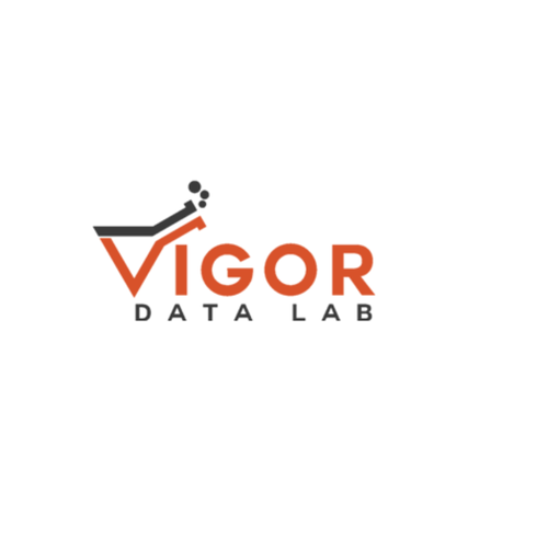 Example Logo Vigor Data Labs by Final Idea.png