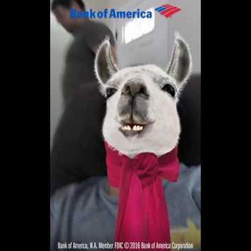 bank of america.jpg