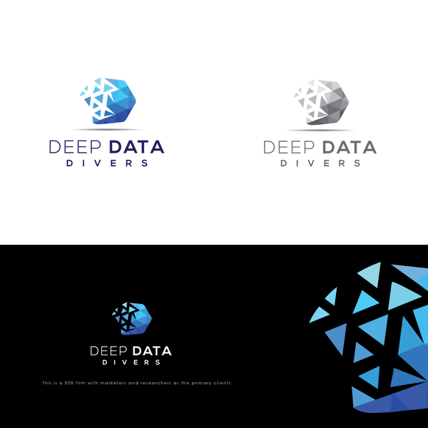 Deep Data Divers