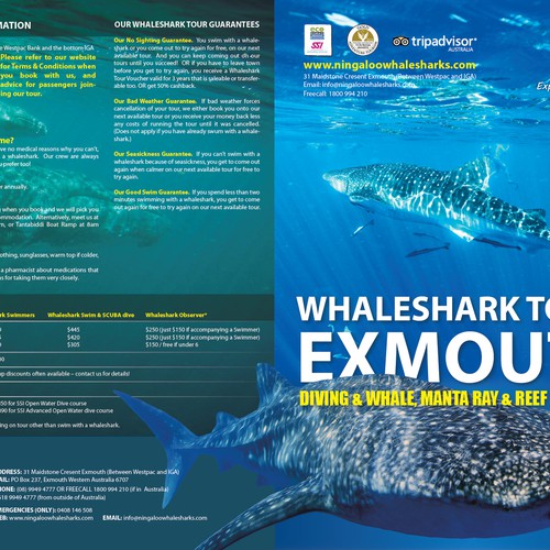 Ningaloo Whaleshark Swim brochure Design by syakuro