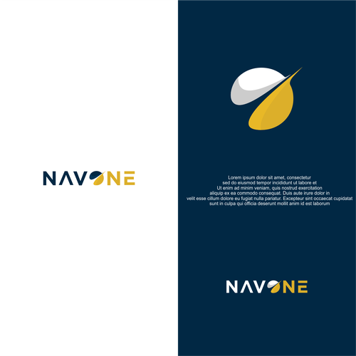 NavOne Logo - Sub Brand of NavPass.aero Design by SALICKER