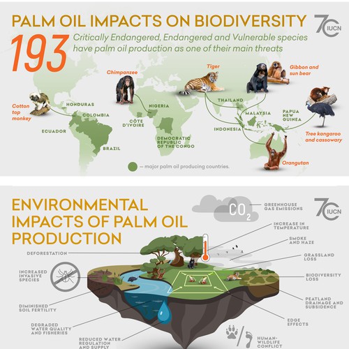 Infographic telling the story of palm oil impacts on biodiversity ...