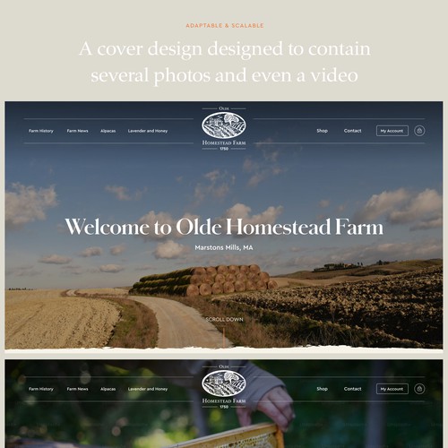 Designs | Olde Homestead Farm Website Design | Web page design contest