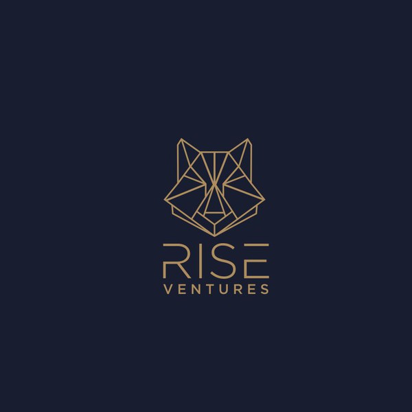 RISE VENTURES