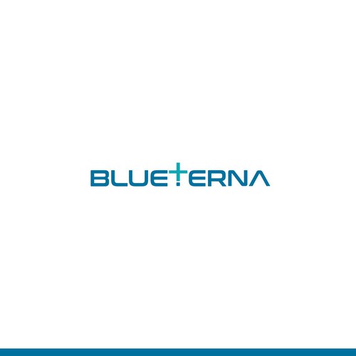 Blueterna Branding contest Design by DZL24
