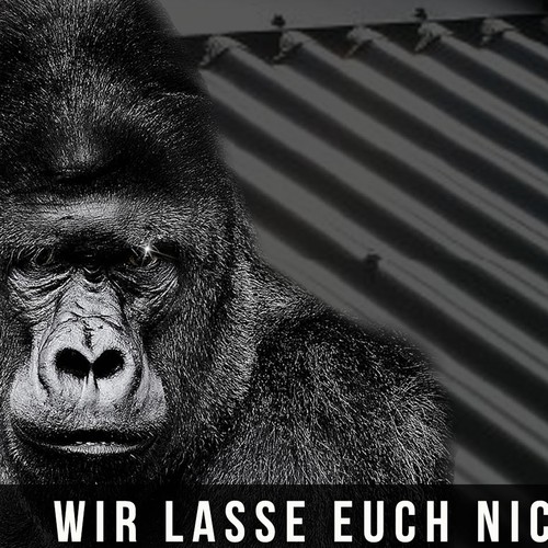 Cartelería propuesta en el concurso por kwadro verver