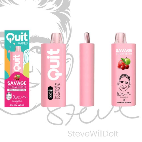 Quit Vape Package for disposable vape device Design by Kula Kreatif