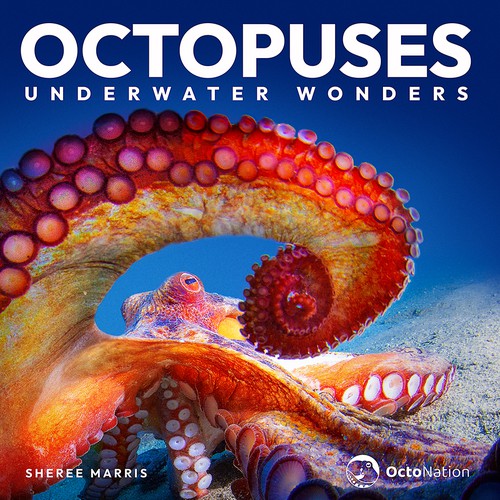 Octopuses The Surprising Strength You Wont Believe - 8w3ypug