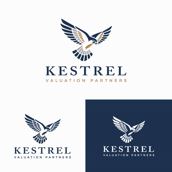 Photo realistic hovering Kestrel corporate logo design contest appealing to institutional customers