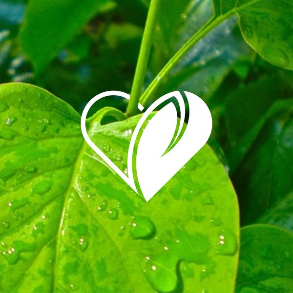 Design by yunas™ titled "Landscaping"