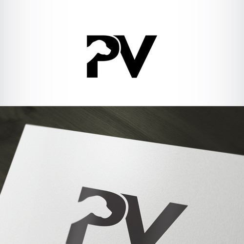 Create Me A Simple Logo With The Letters P V In The Logo 