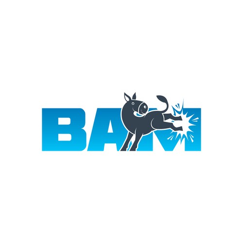 BAM *updated 6/12 read brief Design by Dendir