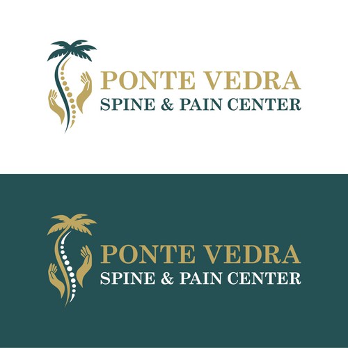 Spine and Pain Medical Practice in Florida Design by jemma1949