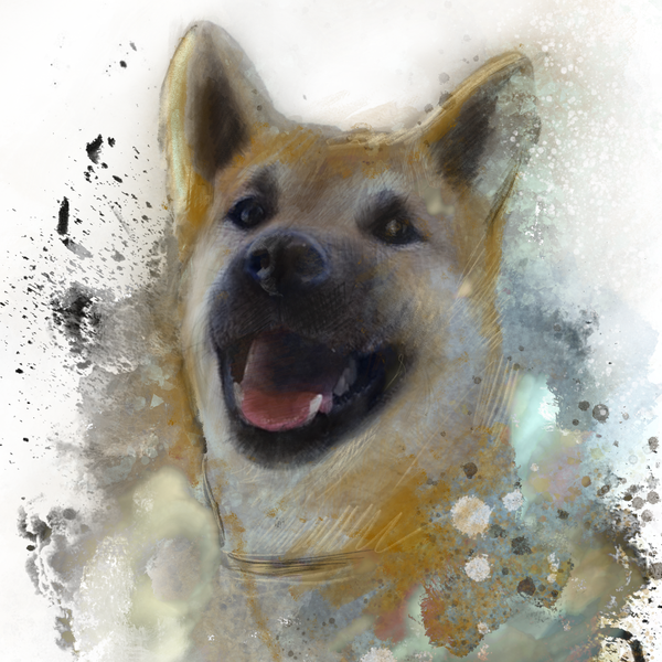 Dog portrait
