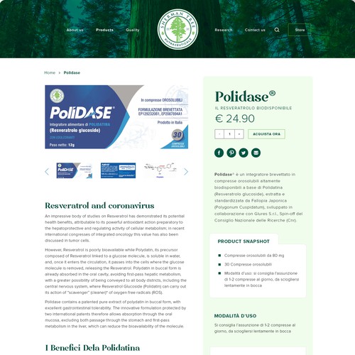 Sherman tree website Design by lipsurn®